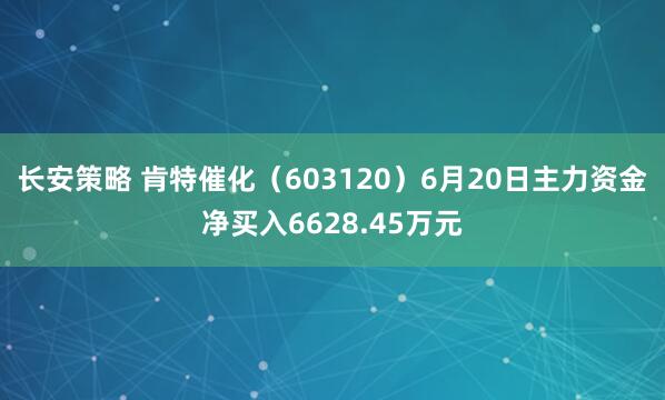 长安策略 肯特催化（603120）6月20日主力资金净买入6628.45万元