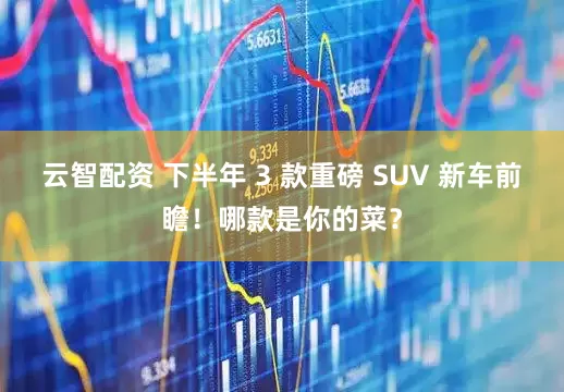 云智配资 下半年 3 款重磅 SUV 新车前瞻！哪款是你的菜？
