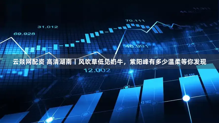 云燚网配资 高清湖南丨风吹草低见奶牛，紫阳峰有多少温柔等你发现